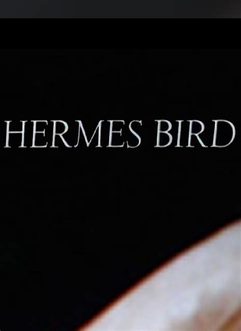 hermes bird 1979 torrent|Hermes Bird (1979): Where to Watch and Stream Online.